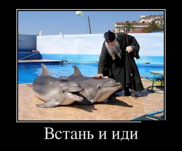 Демотиваторы (30 фото)