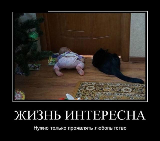 Демотиваторы (30 фото)