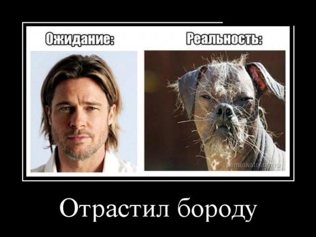 Демотиваторы (30 фото)