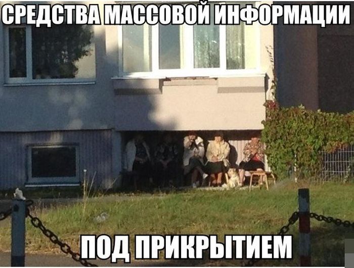 Забавные картинки
