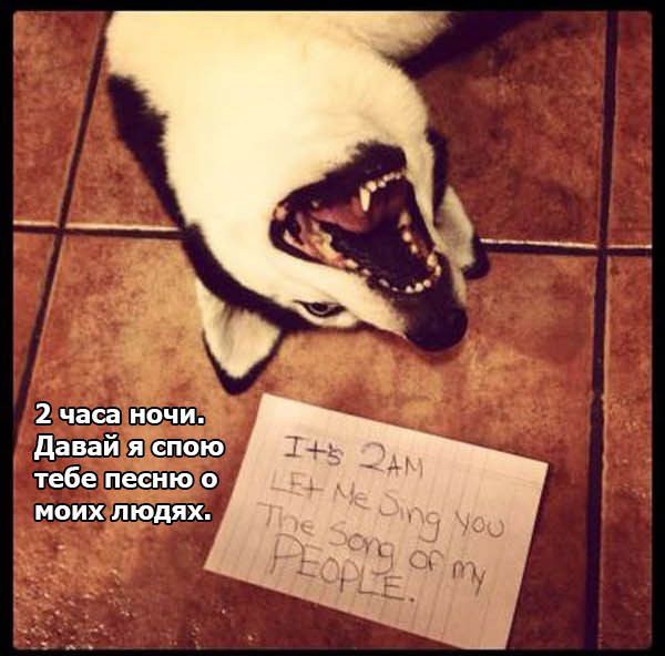 Забавные картинки