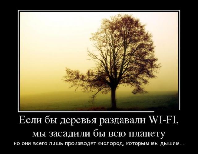 Демотиваторы (30 фото)