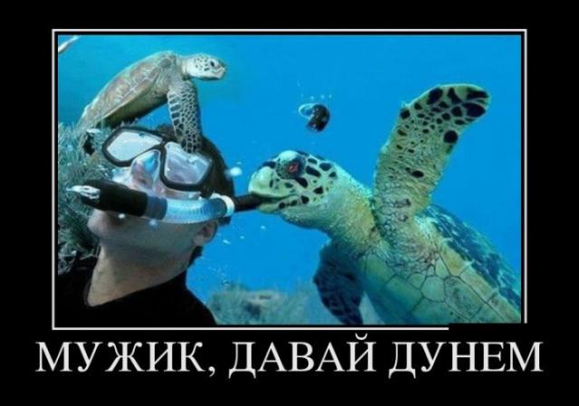 Демотиваторы (30 фото)