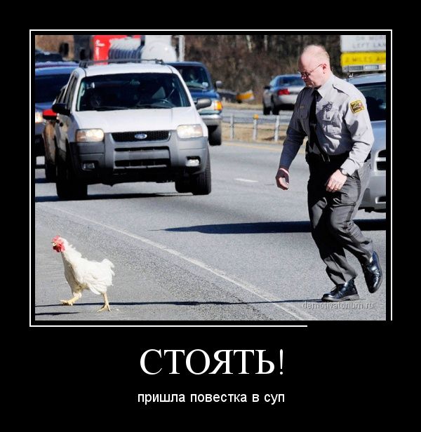 Демотиваторы (30 фото)