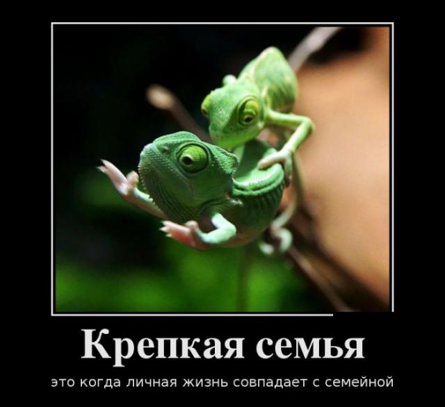 Демотиваторы (30 фото)