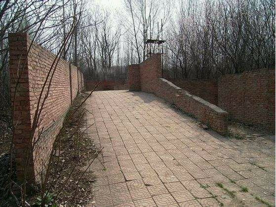 Для фанатов CS