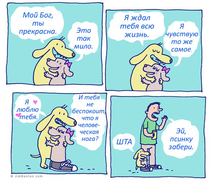 Забавные картинки