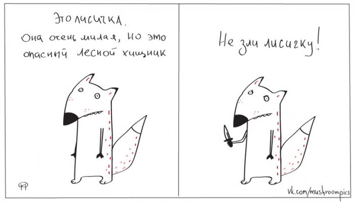 Забавные картинки