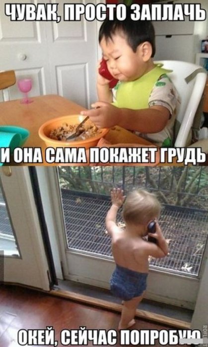 Забавные картинки