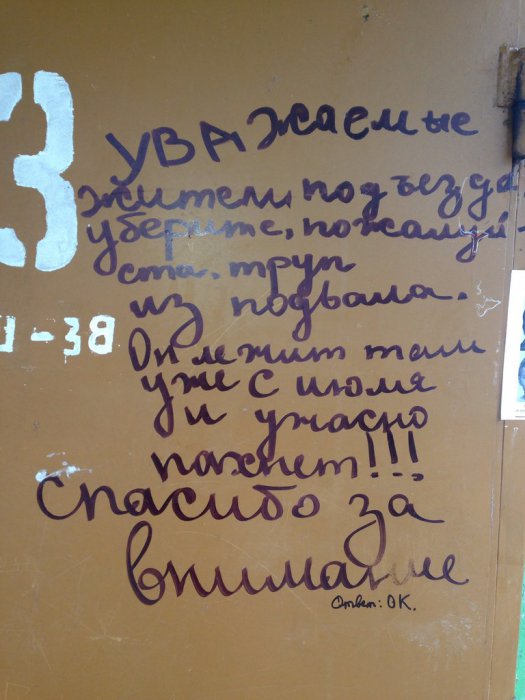 Забавные картинки