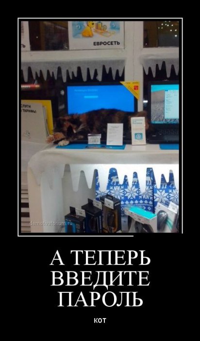 Демотиваторы (30 фото)