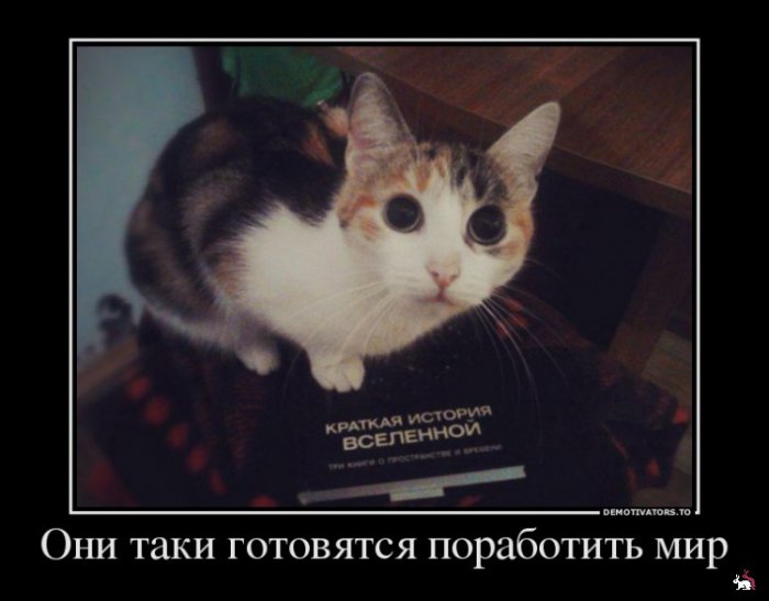 Кваторы