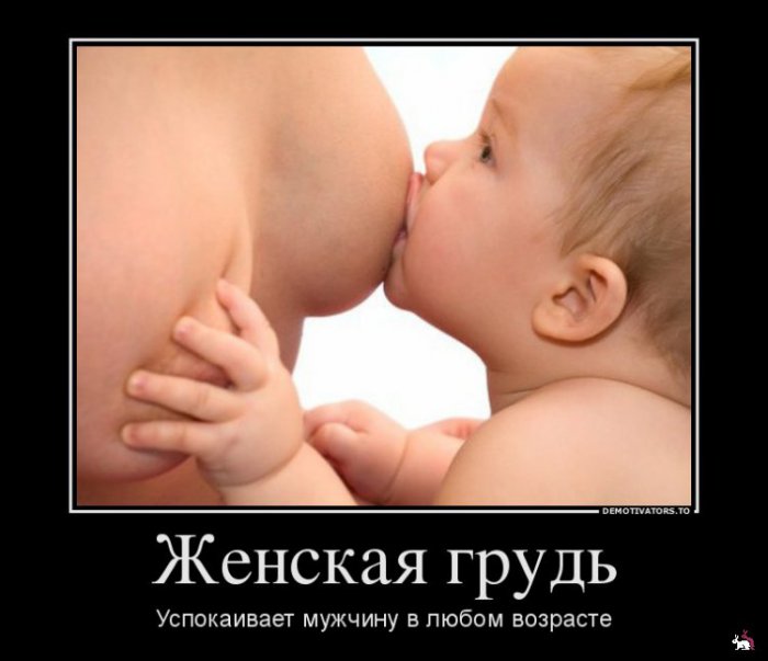 Кваторы