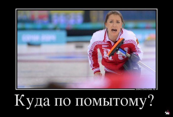 Кваторы