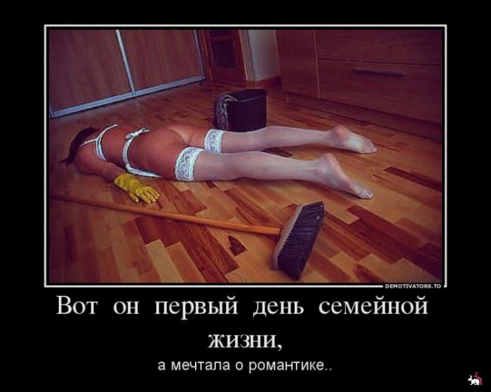 Кваторы