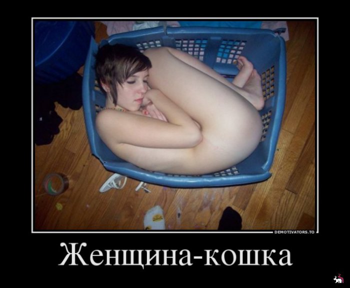Кваторы