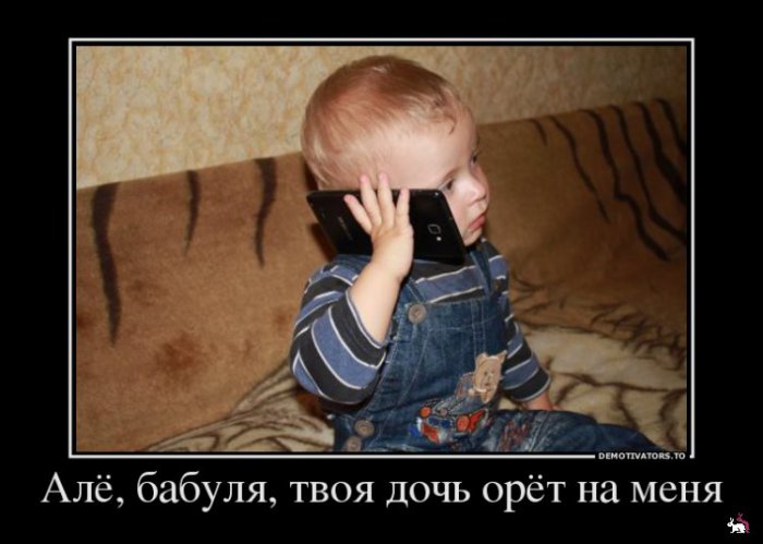 Кваторы