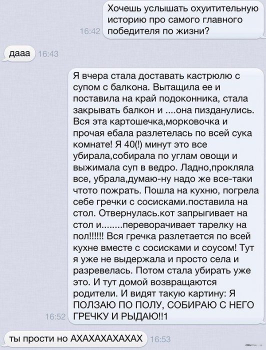 Забавные картинки