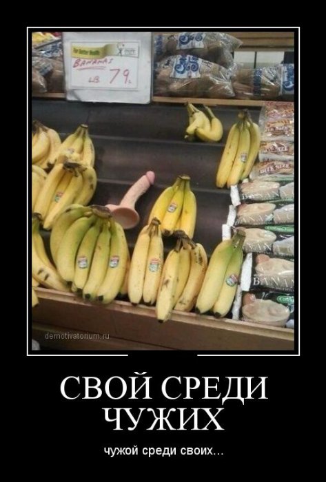 Демотиваторы (30 фото)