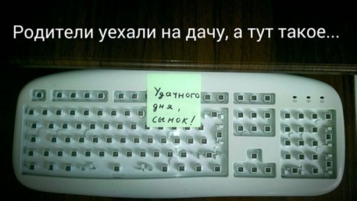 Прикольные картинки