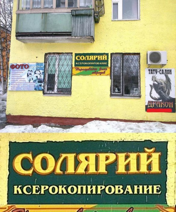 Прикольные картинки