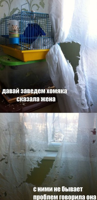 Забавные картинки
