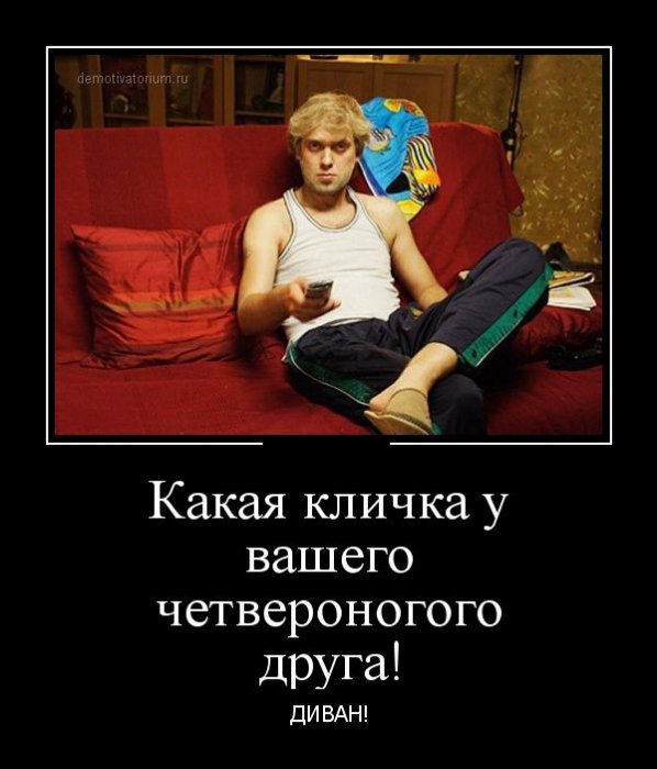 Демотиваторы (30 фото)