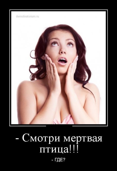 Демотиваторы (30 фото)