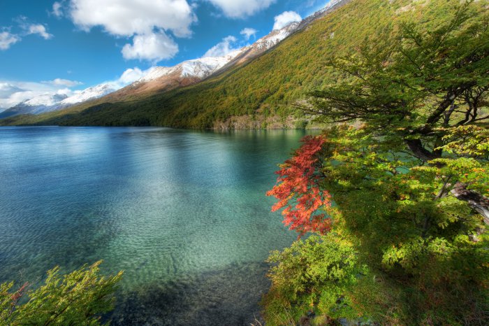 Обои на рабочий стол / Desktop wallpapers 591