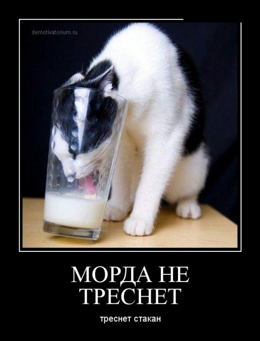 Демотиваторы (30 фото)