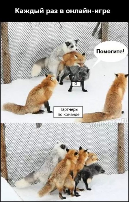 Забавные картинки