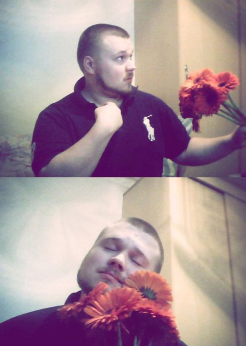 Забавные картинки