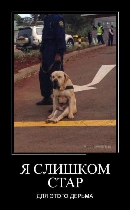 Демотиваторы (30 фото)