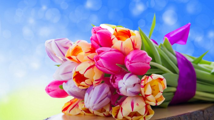 Обои на рабочий стол / Wallpaper Pack 257