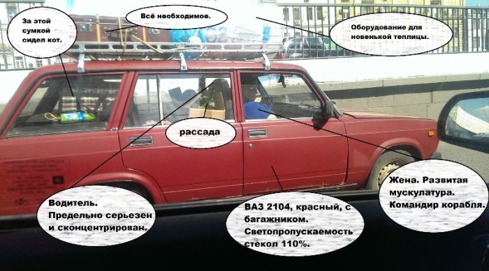 Забавные картинки