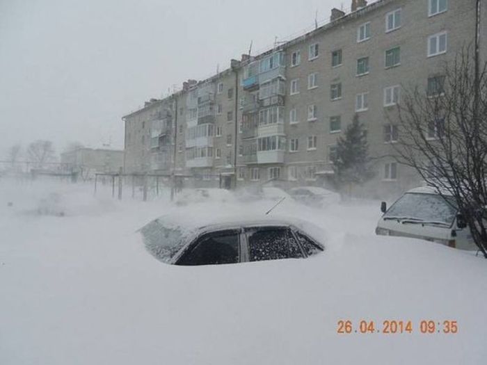 Забавные картинки