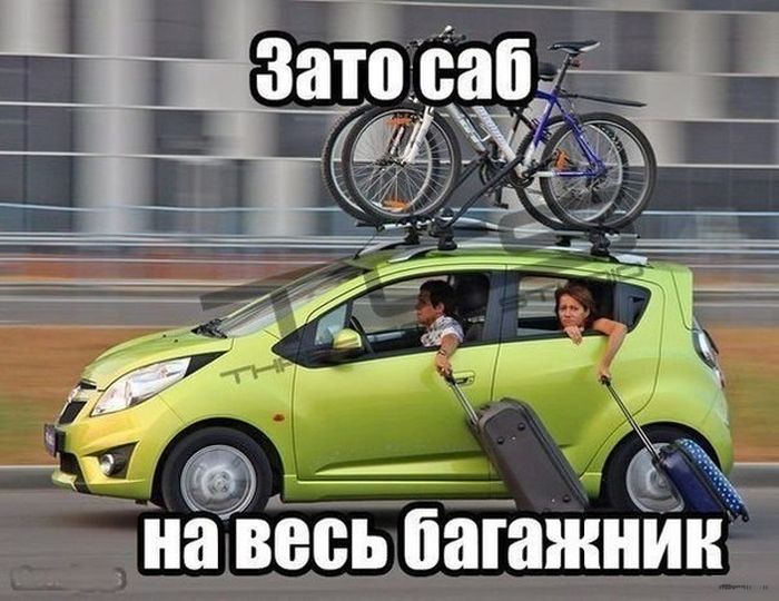Забавные картинки