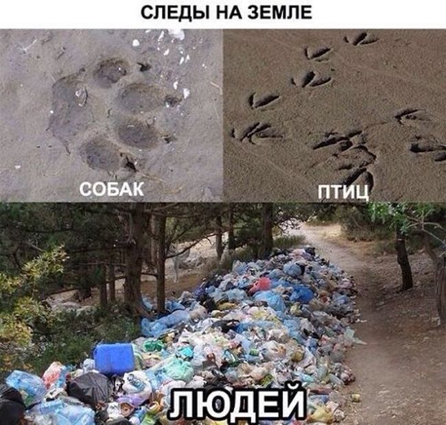 Забавные картинки