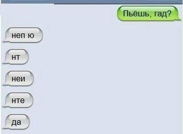 Забавные картинки
