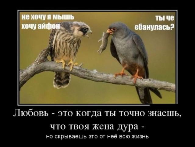 Демотиваторы (30 фото)