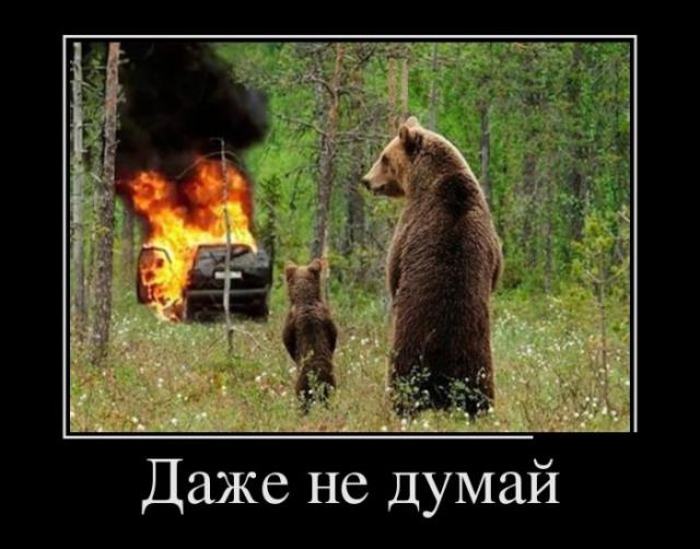 Демотиваторы (30 фото)