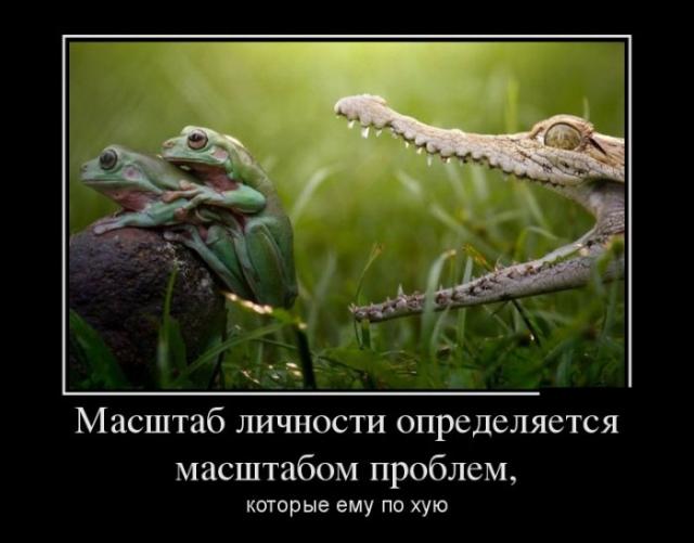Демотиваторы (30 фото)