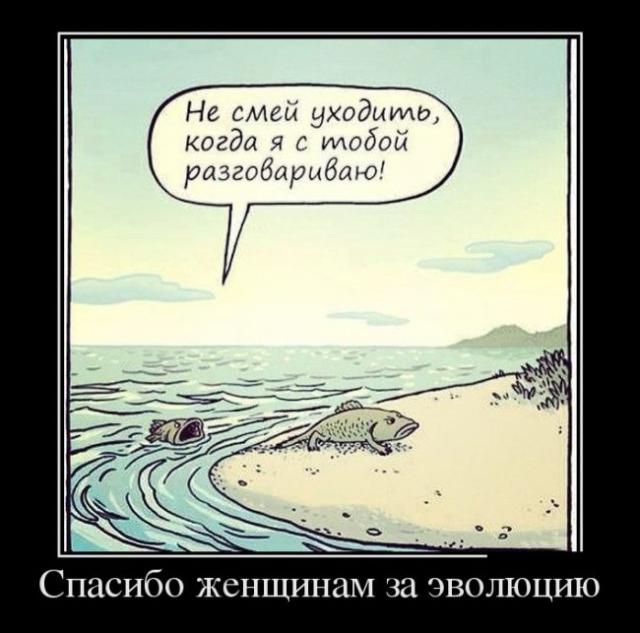 Демотиваторы (30 фото)