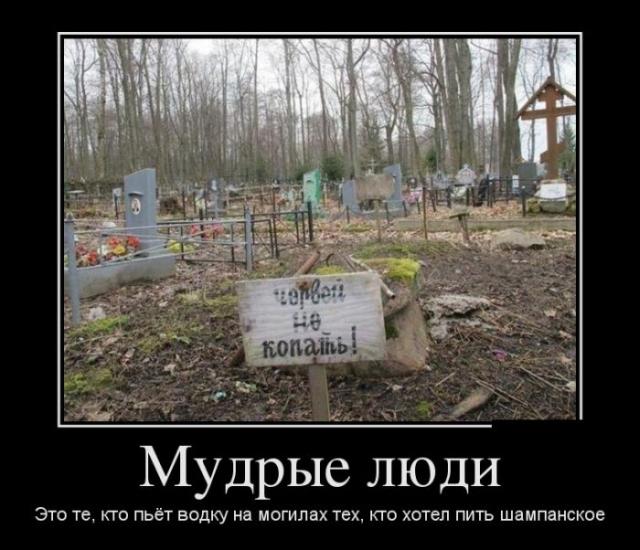 Демотиваторы (30 фото)