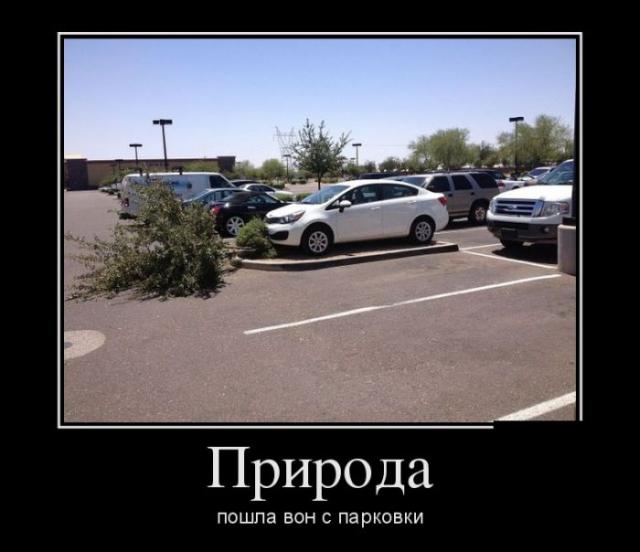 Демотиваторы (30 фото)