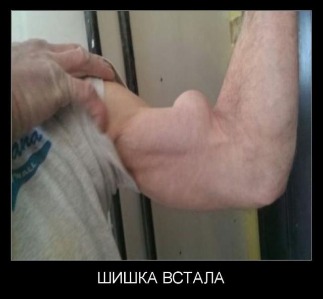 Демотиваторы (30 фото)