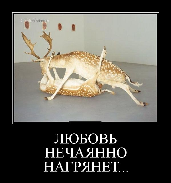 Демотиваторы (30 фото)