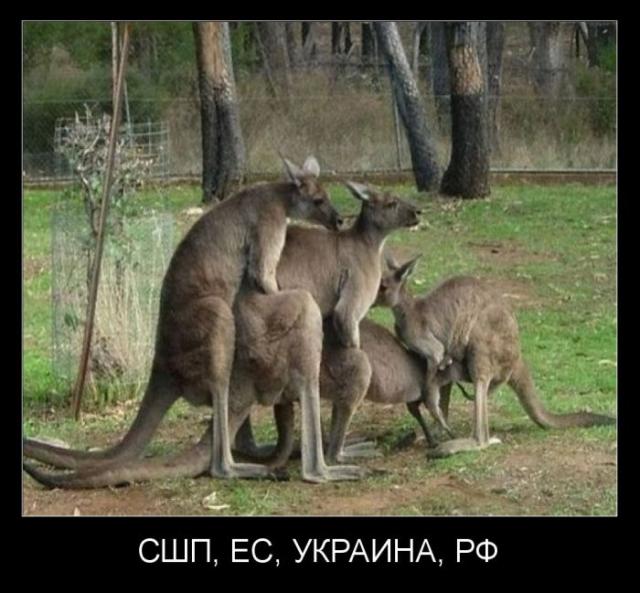 Демотиваторы (30 фото)