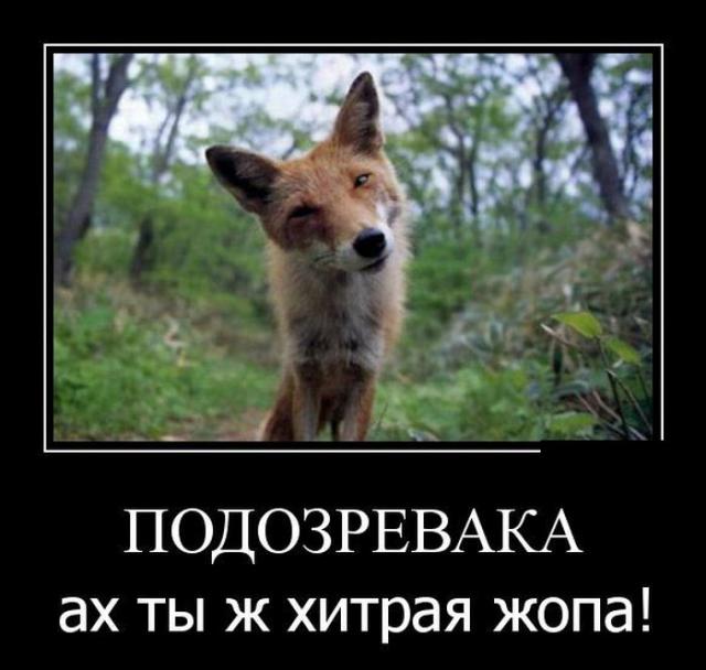 Демотиваторы (30 фото)