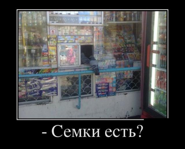 Демотиваторы (30 фото)